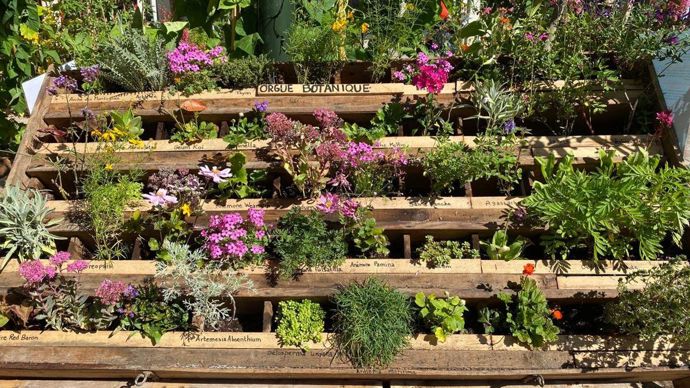 «Le jardin d’Eden» et son orgue botanique, par les Pépinières Couteau Orléans, installé place du Châtelet.